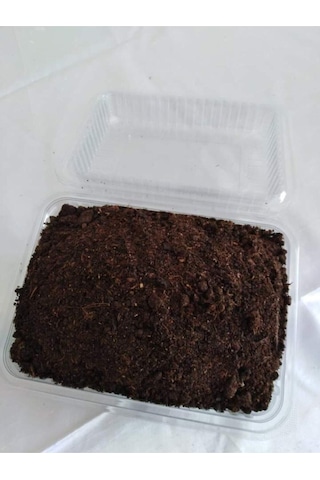 Kültür Mantarı Tohumu, Mantar Ekim Torfu Içinde Hazır Kit Ve Kılavuzu