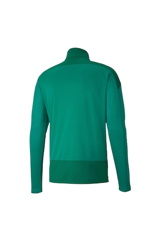 Puma 656476 Teamgoal 23 Training 1 4 Zıp Top Yeşil Yeşil