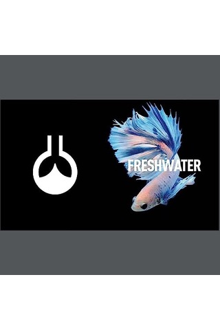 Reeflowers Ph Buffer 9.4 3000ml