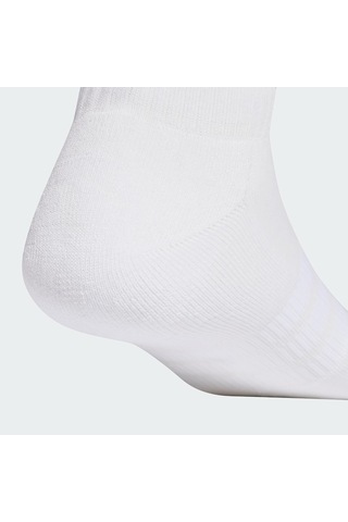Xmlbayiciniz Cushioned Essentials Low Cut Socks 3 Pair Pack Çok Renkli