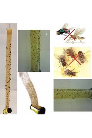 Tibtrap Yapışkan Sinek Kapanı 4 Lü Tdrtr