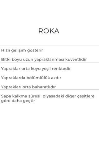 Roka Tohumu 10gr