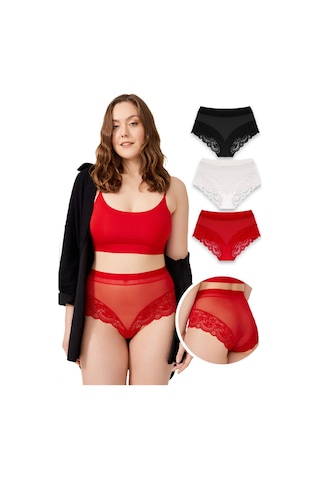 Cottonhill Dantel Detaylı Transparan Büyük Beden Bikini Külot 3'lü Paket Çok Renkli 1 Çok Renkli