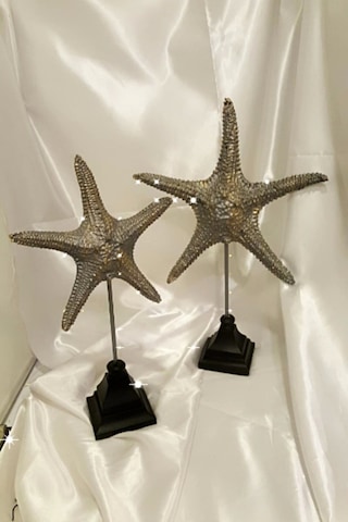 Dekoratif Traverten Zerafet Stone Deniz Yıldızı Biblo 2 Li Ayaklı