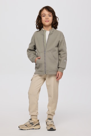 Panço Erkek Çocuk Fermuarlı Antrasit Sweatshirt Gri