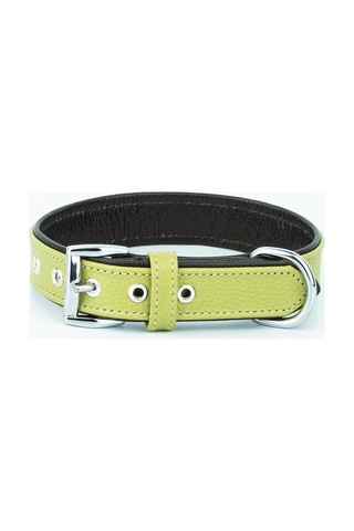 Canini Collar Hakiki Flotter Deri Köpek Tasması, Çift Katlı Deri, Ultra Dayanıklı Tasma Yeşil-kahverengi, Xl Çok Renkli
