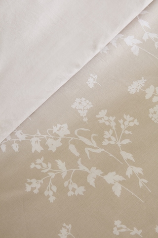 Kaşmir Home Fancy %100 Pamuk Çift Kişilik Nevresim Takımı Bej Bej