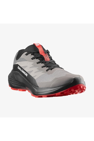 Salomon Alphaglıde Erkek Ayakkabısı L48000800 Çok Renkli