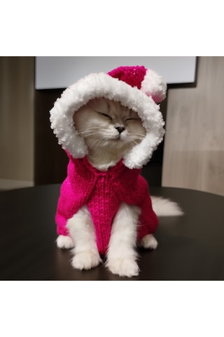 Kedi Ve Köpek İçin Kürklü Kapüşonlu Pembe Simli Kazak