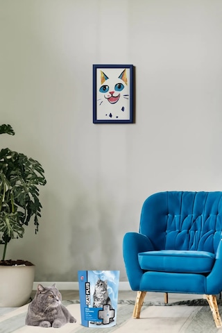 CatPlus Kristal Kedi Kumu 9 x 3600 ML