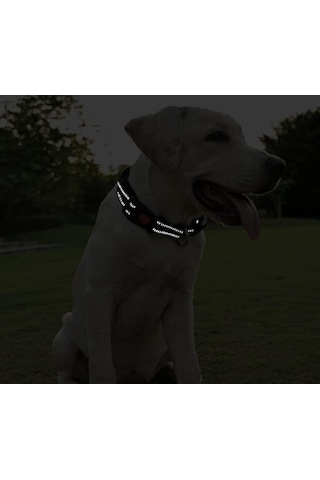 Raikou Ayarlanabilir Köpek Boyun Tasması Siyah