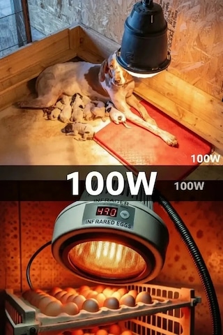 Bay 100w Kızılötesi İnfrared Isıtıcılı Hayvan Isıtma Ve Kuluçka Lambası Kırmızı Işık E27 Kalın Duy