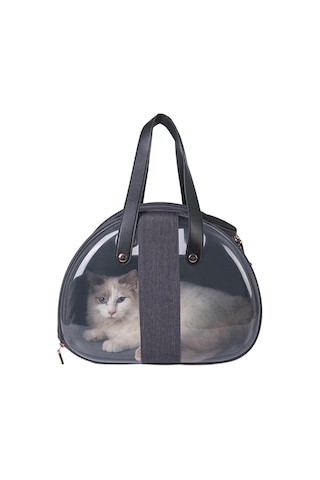 Homyl Kedi Taşıyıcı Köpekler Yavru Yavruları Gine Domuzu