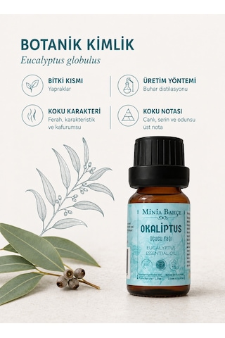 Minia Bahçe Bitki Ve Sanat Atölyesi Okaliptüs Uçucu Yağı Saf ve Katkısız Bitkisel Uçucu Yağ 10 ML