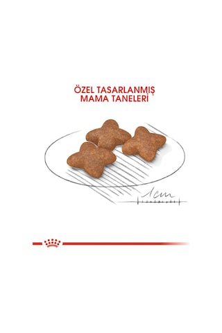 Royal Canin Mini Adult Köpek Maması 8 Kg