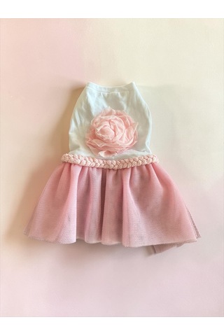 Rosie Pink Tütü Köpek Kıyafeti Pembetütülü Elbise Küçük Irk Köpekler İçin