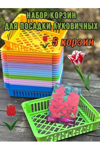 Domdacaogorod Soğanlı Bitkiler Ve Kelebek Yetiştirme Sepeti 383849206