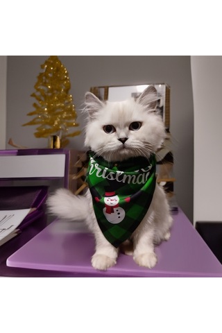Kedi Ve Köpek İçin Ayarlanabilir, Üçgen Ve Yeşil Yılbaşı Bandanası