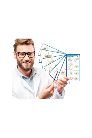 Anatomi Kolay Öğrenme – Kemikler Cep Kartı