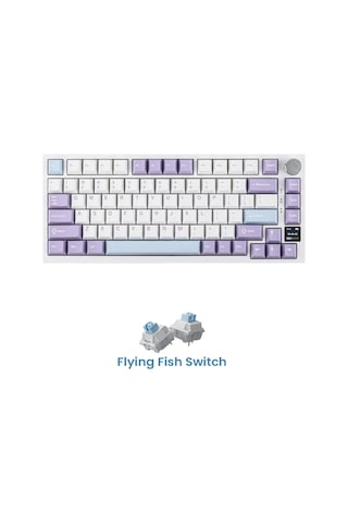 Ak820 Pro Mekanik Oyun Klavyesi,3 Modlu Tft Renkli Ekran Ve Cnc Düğmeli 81 Tuş,rgb Aydınlatma