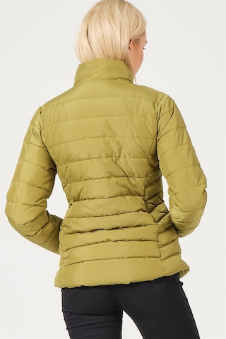 Dewberry Bayan Mont Z6746