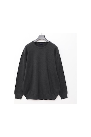 Dio Rise Erkek Uzun Kol İnce Polo Yaka Sweatshirt - B180856 - Antrasit Antrasit