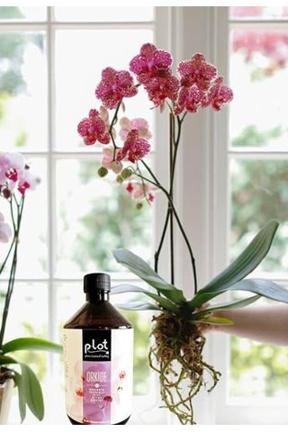 Plot Orkide Organik İçerikli Bitki Besini 500 Ml Sıvı Gübre Diğer