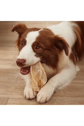 Kito Kurutulmuş Dana Kulak Çiğnemelik Doğal Glutensiz Organik Köpek Ödül Maması 100 G