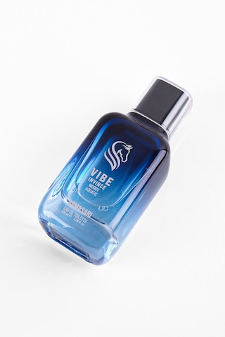Armasari Vibe Invince Erkek Parfüm Edt 100 Ml Fresh - Marin