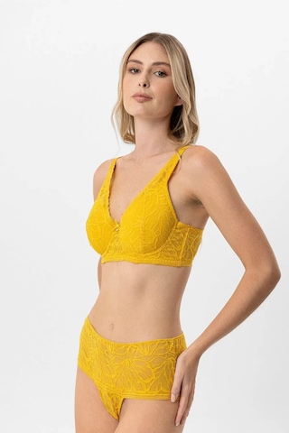 Pierre Cardin Boş Kap Toparlayıcı Sütyen Takım Hardal