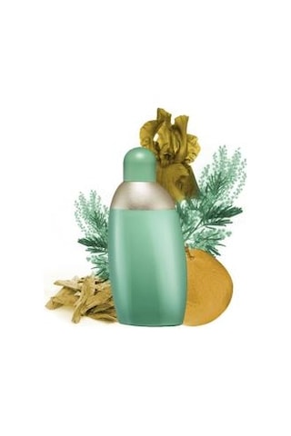 Cacharel Eden Edp 50 Ml Aromatik