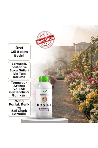 Rosify Üçlü 500 Ml 3 Adet Özel Gül Bakım Besini - Sarmaşık, Baston, Ve Saksı Gülleri İçin 500 ML