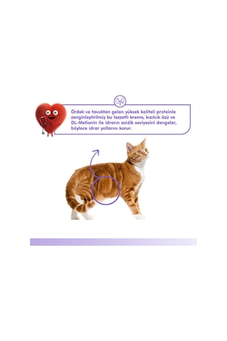 Üriner Sistem Kedi Ödül Maması Ördek & Tavuk Kedi Ödül Kreması 5x14gr