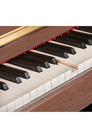 Arsenberg Adp1968r Rosewood Dijital Piyano