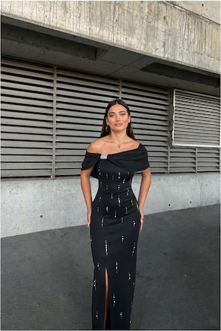 DefyModa Kadın Özel Tasarım Dik Yaka Taş Detaylı Maxi Abiye Elbise Siyah