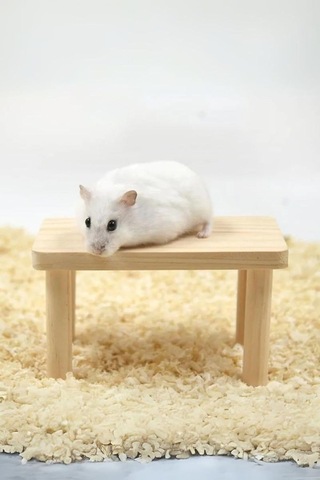 Ayrex Hamster Ahşap Oyun Platformu - Kafes Aksesuarı Ve Yem Standı