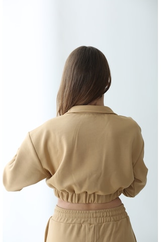 Nature The Brand Kahverengi Basic Sweatshirt Kadın - %100 Pamuklu Oversize Rahat Kalıp Sütlü Kahve