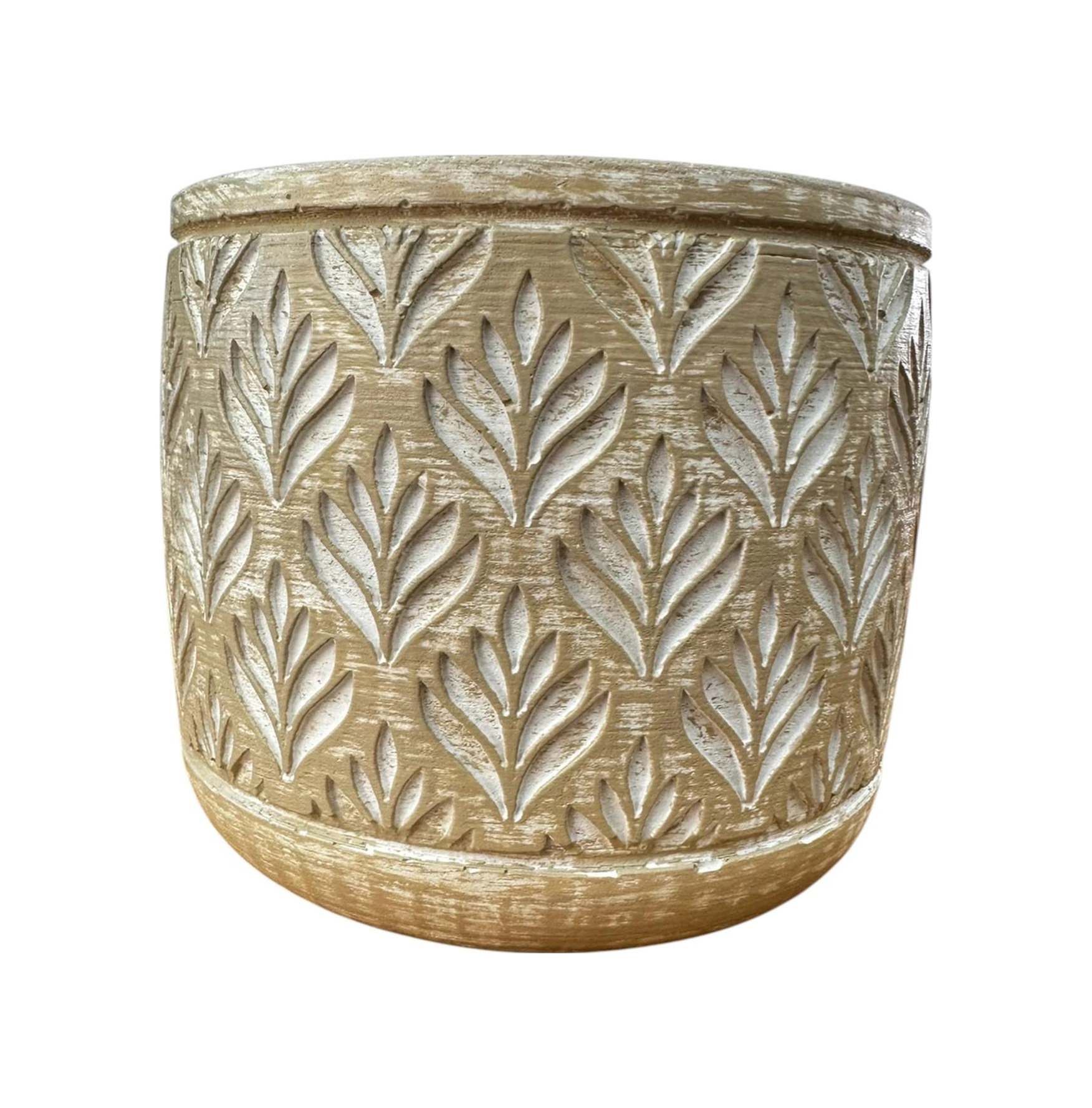 Bitki Tasarımı Ev Dekorasyon Bej Lotus Beton Saksı Çiçeklik Saksılık