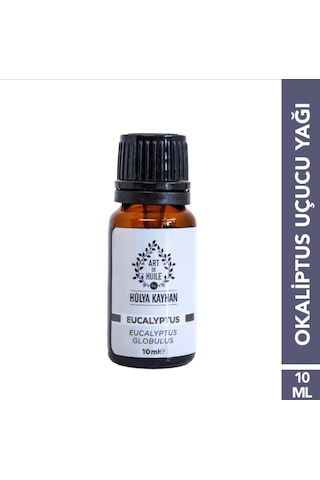 Art De Huile Fly Mix 100 Ml- Eucalyptus 10 Ml - Neem 5 Ml