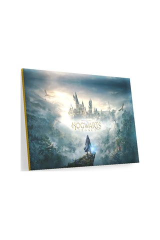 Cakasepetim 2021 Harry Potter Oyunu Görseli Ahşap Mdf Tablo