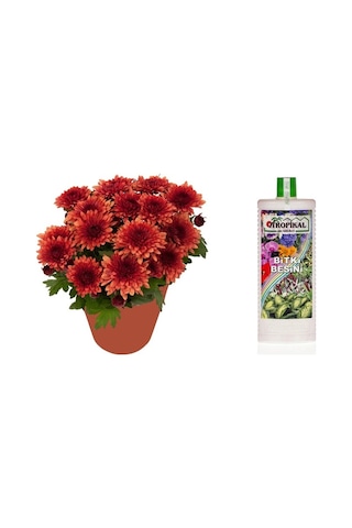 Tropikal Bitki Besini 6 Adet - Genel Kullanım 1000 Ml