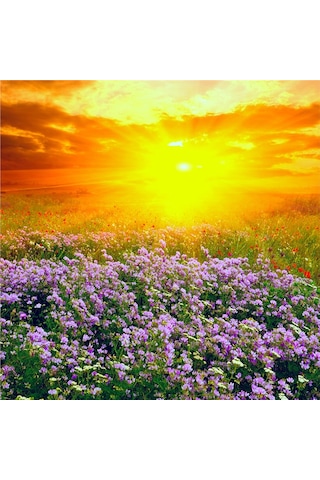 Bahar Çiçekleri Doğal Taş Bardak Altlığı 4'lü Set - Natural Stone Coasters - Taş Çok Renkli