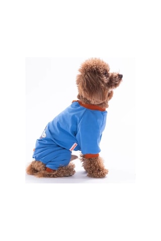 Pawstar 26901 Mavi Ducks Küçük Irk Köpek Pijama Tulum