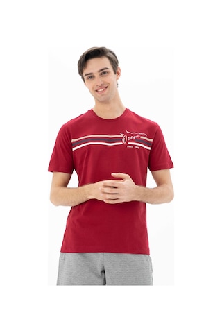 Arma Erkek Büyük Beden Bisiklet Yaka Tişört Y25344869901 Bordo