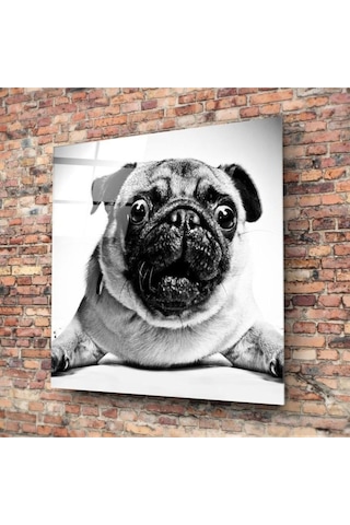 Pug Köpek Cam Tablo No:1043 Hediyelik, Dekoratif, Ofis, Mutfak