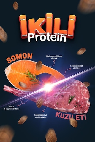 Reflex Duo Protein Somonlu Ve Kuzu Etli Orta Ve Büyük Irk Yetişkin Köpek Maması 10 Kg