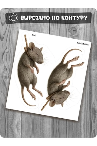 Fosti Buzdolabı İçin İşaret: Fare Asıldı 447775474 Beyaz