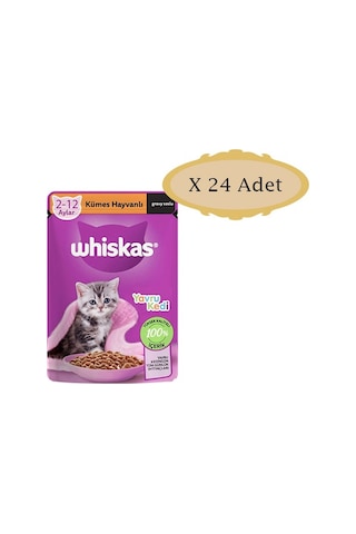 Whiskas Pouch Kümes Hayvanlı Yavru Kedi Maması 24 x 85 G
