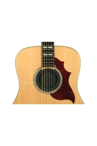 Planet Waves Pwsh01 Screeching Halt Soundhole Plug Feedback Önley