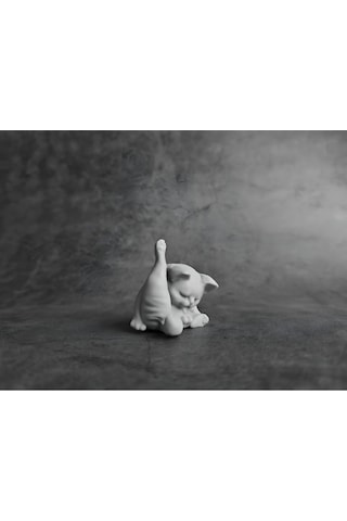 Minyatür Kedi - Kendisini Yalayan Kedi